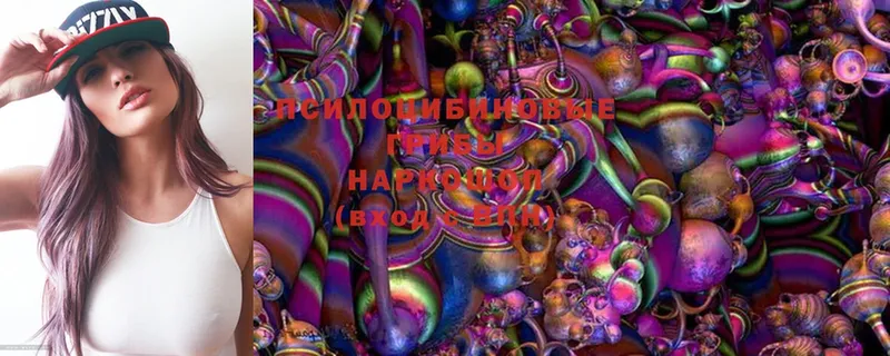 Галлюциногенные грибы MAGIC MUSHROOMS  как найти   Надым 